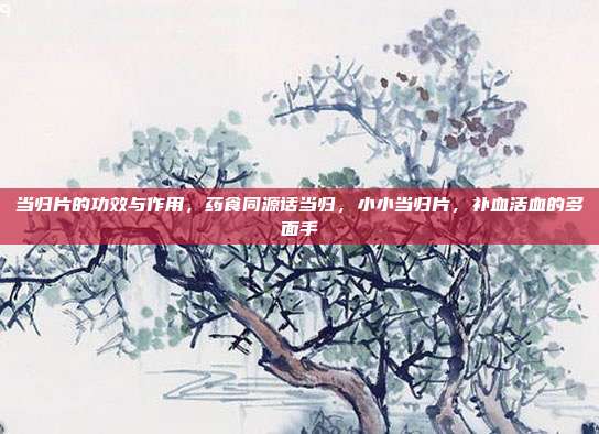 当归片的功效与作用,药食同源话当归,小小当归片,补血活血的多面手