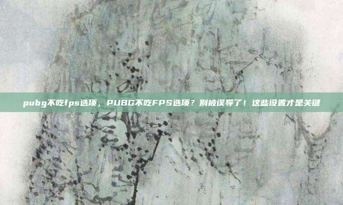 pubg不吃fps选项,PUBG不吃FPS选项?别被误导了!这些设置才是关键