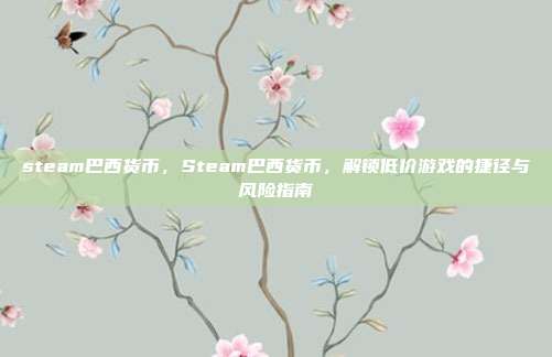 steam巴西货币,Steam巴西货币,解锁低价游戏的捷径与风险指南