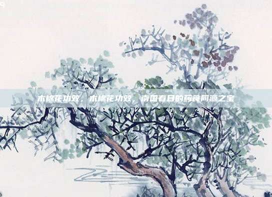 木棉花功效,木棉花功效,南国春日的药食同源之宝