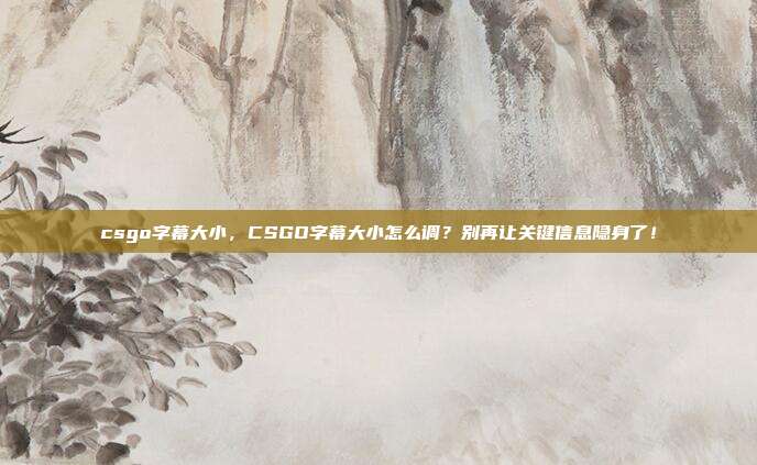 csgo字幕大小,CSGO字幕大小怎么调?别再让关键信息隐身了!