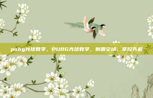 pubg光球教学,PUBG光球教学,制霸空域,掌控先机