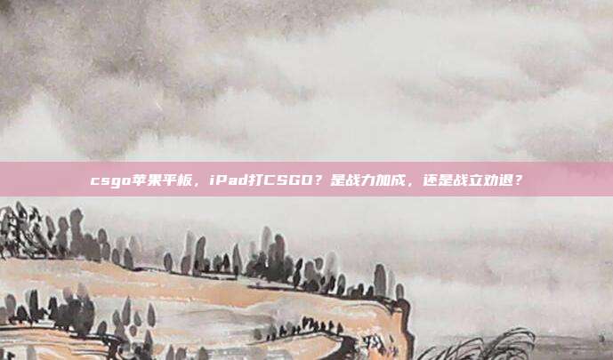 csgo苹果平板,iPad打CSGO?是战力加成,还是战立劝退?