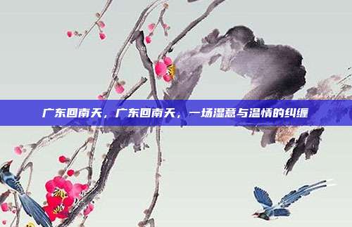 广东回南天,广东回南天,一场湿意与温情的纠缠