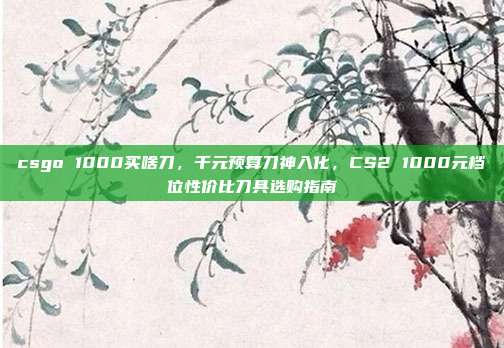csgo 1000买啥刀,千元预算刀神入化,CS2 1000元档位性价比刀具选购指南