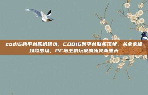 cod16跨平台联机现状,COD16跨平台联机现状,从全家桶到修罗场,PC与主机玩家的冰火两重天