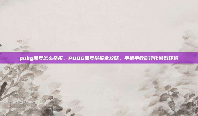 pubg黑号怎么举报,PUBG黑号举报全攻略,手把手教你净化游戏环境