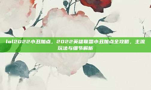 lol2022小丑加点,2022英雄联盟小丑加点全攻略,主流玩法与细节解析