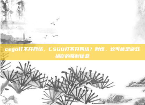 csgo打不开网络,CSGO打不开网络?别慌,这可能是游戏给你的强制休息