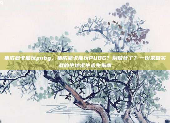 集成显卡能玩pubg,集成显卡能玩PUBG?别做梦了?一份来自实战的绝地求生求生指南