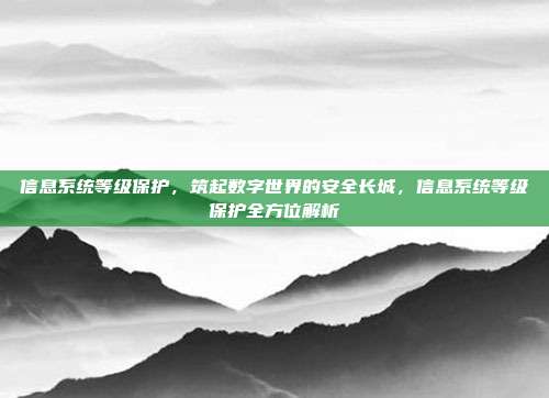 信息系统等级保护,筑起数字世界的安全长城,信息系统等级保护全方位解析