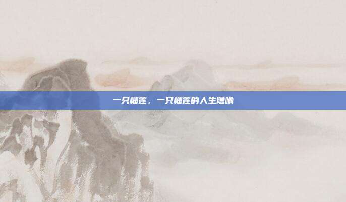 一只榴莲,一只榴莲的人生隐喻