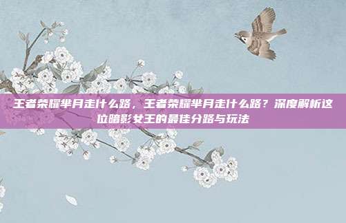 王者荣耀芈月走什么路,王者荣耀芈月走什么路?深度解析这位暗影女王的最佳分路与玩法