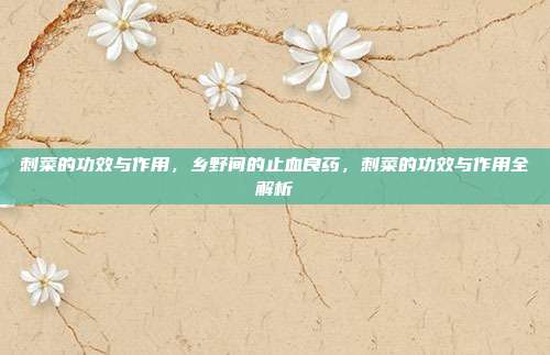 刺菜的功效与作用,乡野间的止血良药,刺菜的功效与作用全解析