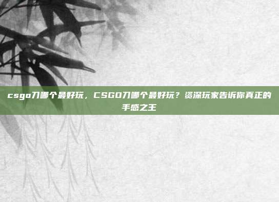 csgo刀哪个最好玩,CSGO刀哪个最好玩?资深玩家告诉你真正的手感之王