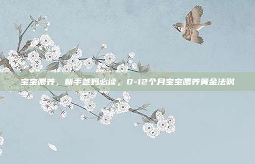 宝宝喂养,新手爸妈必读,0-12个月宝宝喂养黄金法则