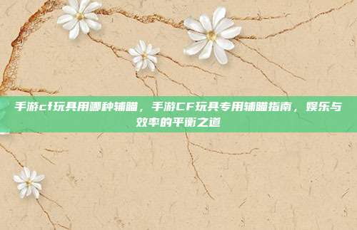 手游cf玩具用哪种辅瞄,手游CF玩具专用辅瞄指南,娱乐与效率的平衡之道