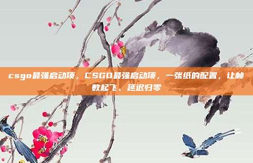 csgo最强启动项,CSGO最强启动项,一张纸的配置,让帧数起飞、延迟归零