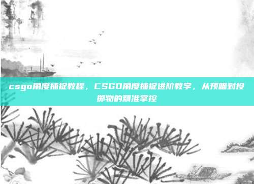 csgo角度捕捉教程,CSGO角度捕捉进阶教学,从预瞄到投掷物的精准掌控