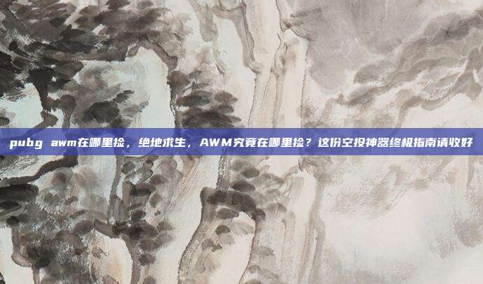 pubg awm在哪里捡,绝地求生,AWM究竟在哪里捡?这份空投神器终极指南请收好