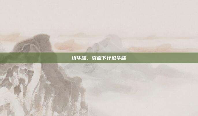 川牛膝,引血下行说牛膝