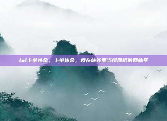lol上单炼金,上单炼金,我在峡谷里当搅屎棍的那些年