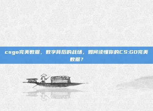 csgo完美数据,数字背后的战场,如何读懂你的CS:GO完美数据?