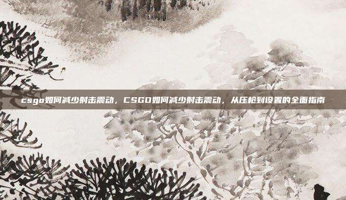 csgo如何减少射击震动,CSGO如何减少射击震动,从压枪到设置的全面指南