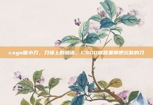 csgo匪小刀,刀锋上的暗语,CSGO匪营里那把沉默的刀