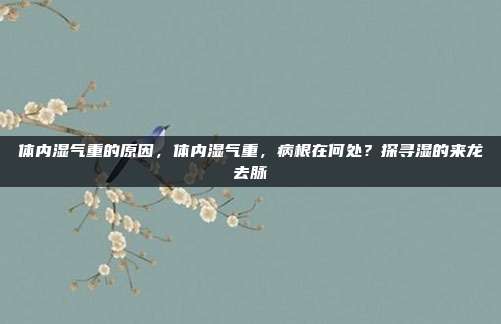体内湿气重的原因,体内湿气重,病根在何处?探寻湿的来龙去脉