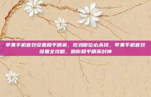 苹果手机音效设置和平精英,吃鸡听位必杀技,苹果手机音效设置全攻略,助你和平精英封神