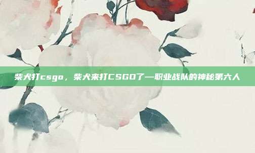 柴犬打csgo,柴犬来打CSGO了—职业战队的神秘第六人
