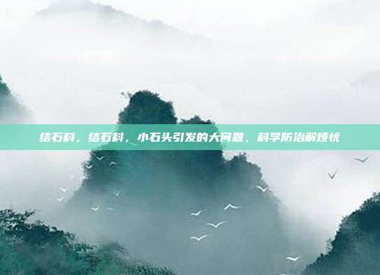 结石科,结石科,小石头引发的大问题,科学防治解烦忧