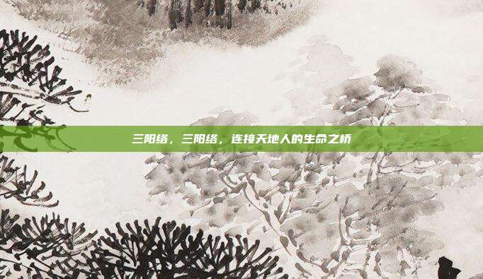 三阳络,三阳络,连接天地人的生命之桥