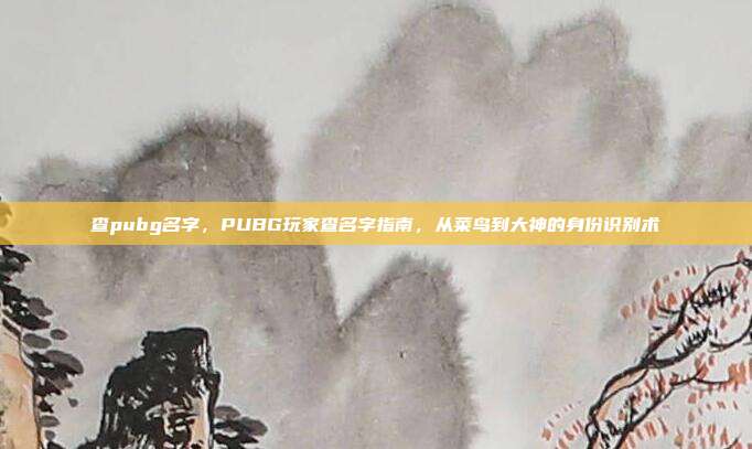 查pubg名字,PUBG玩家查名字指南,从菜鸟到大神的身份识别术