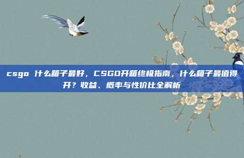 csgo 什么箱子最好,CSGO开箱终极指南,什么箱子最值得开?收益、概率与性价比全解析