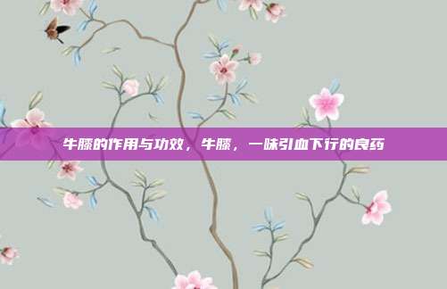 牛膝的作用与功效,牛膝,一味引血下行的良药