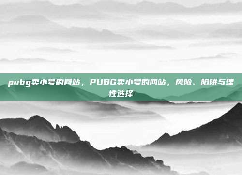pubg卖小号的网站,PUBG卖小号的网站,风险、陷阱与理性选择