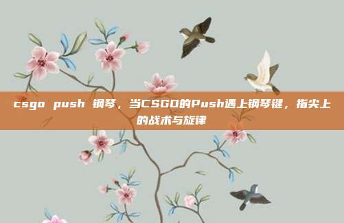 csgo push 钢琴,当CSGO的Push遇上钢琴键,指尖上的战术与旋律