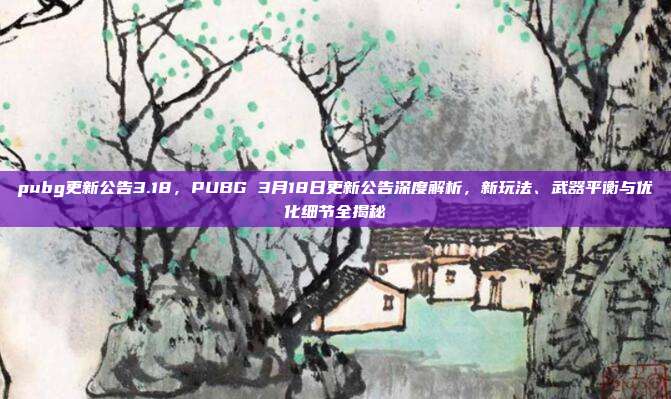 pubg更新公告3.18,PUBG 3月18日更新公告深度解析,新玩法、武器平衡与优化细节全揭秘