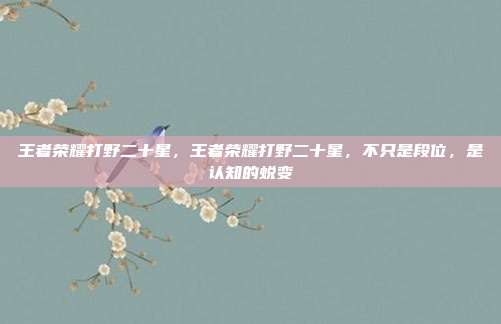 王者荣耀打野二十星,王者荣耀打野二十星,不只是段位,是认知的蜕变