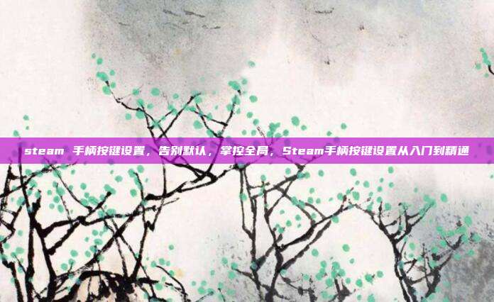 steam 手柄按键设置,告别默认,掌控全局,Steam手柄按键设置从入门到精通