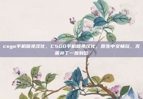 csgo手机版免汉化,CSGO手机版免汉化,原生中文畅玩,无需补丁一步到位