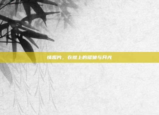 情趣片,衣襟上的褶皱与月光