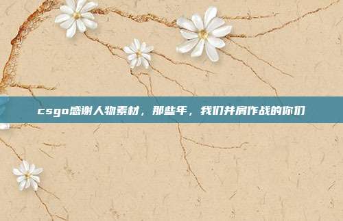 csgo感谢人物素材,那些年,我们并肩作战的你们