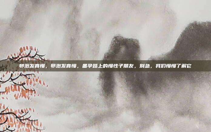 卵泡发育慢,卵泡发育慢,备孕路上的慢性子朋友,别急,我们慢慢了解它