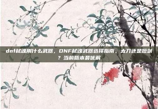 dnf弑魂用什么武器,DNF弑魂武器选择指南,太刀还是短剑?当前版本最优解