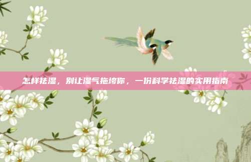 怎样祛湿,别让湿气拖垮你,一份科学祛湿的实用指南