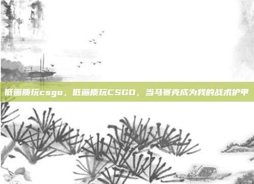 低画质玩csgo,低画质玩CSGO,当马赛克成为我的战术护甲
