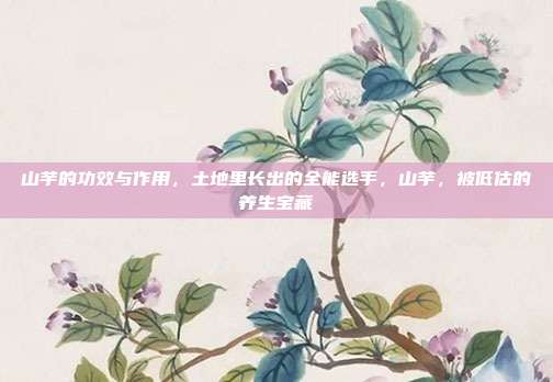 山芋的功效与作用,土地里长出的全能选手,山芋,被低估的养生宝藏